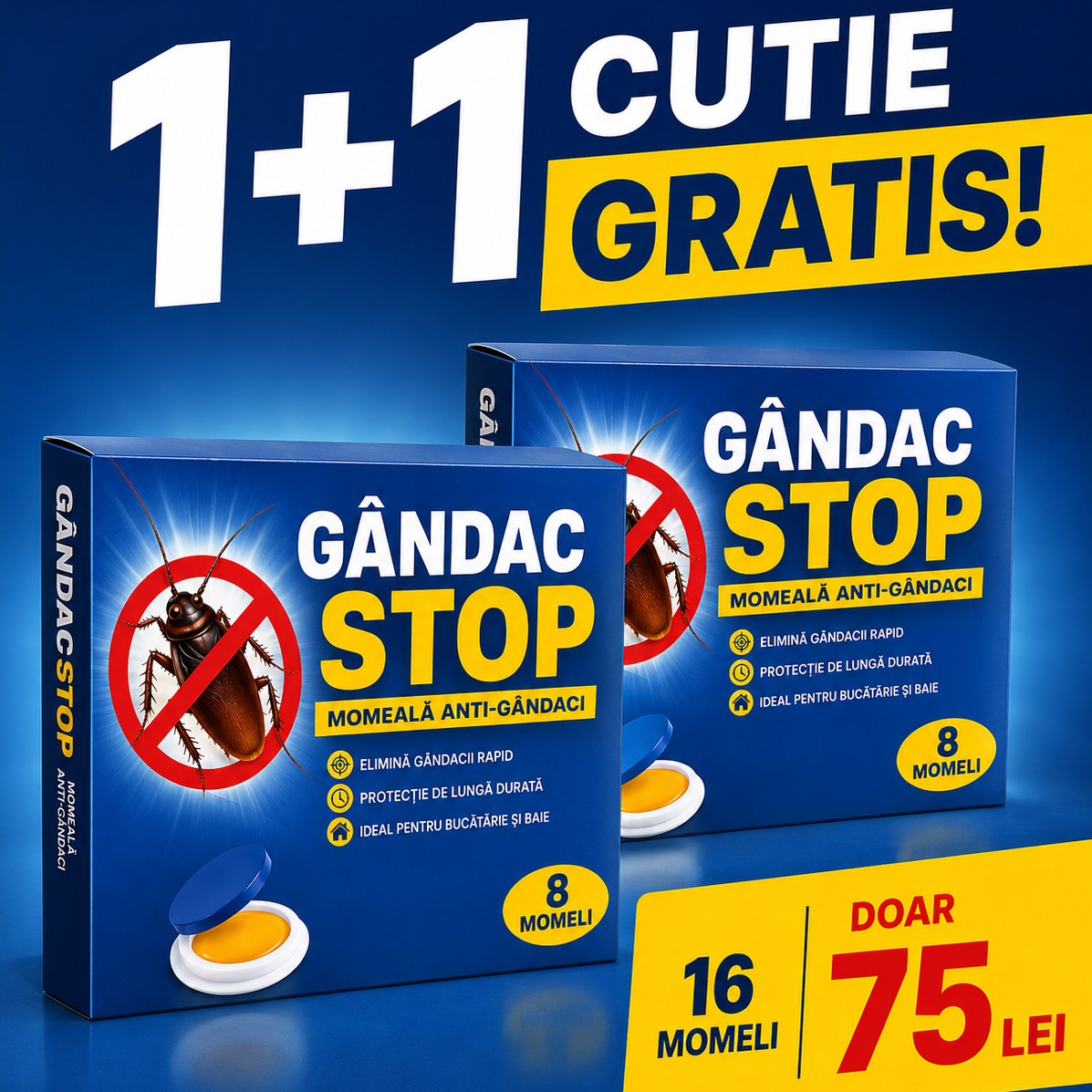 Capcane pentru gandacii de bucatarie