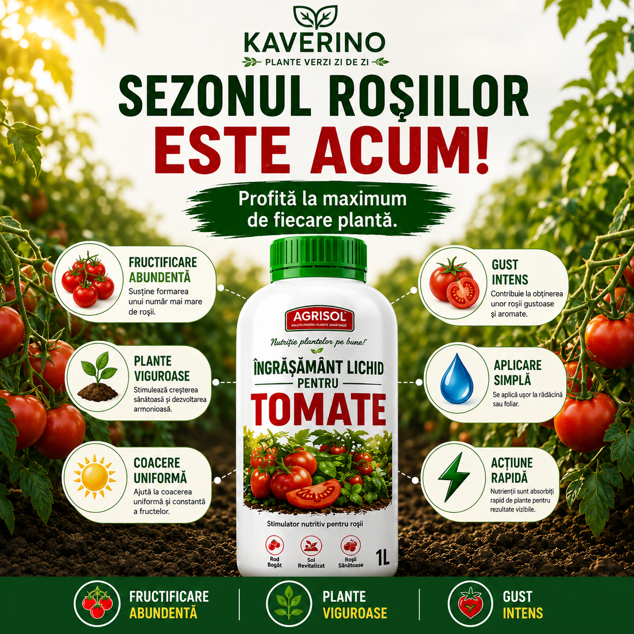Îngrășământ lichid pentru tomate – Recoltă bogată | 1L